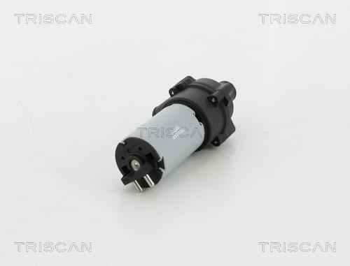 Pompe à eau Triscan A/S ref. 8600 23066