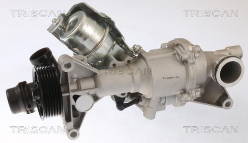 Pompe à eau Triscan A/S ref. 8600 23097
