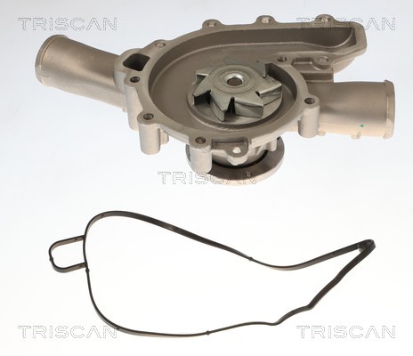 Pompe à eau Triscan A/S 8600 23105