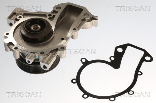 Pompe à eau Triscan A/S ref. 8600 24020V