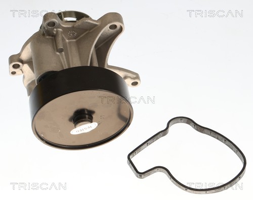 Pompe à eau Triscan A/S 8600 24060