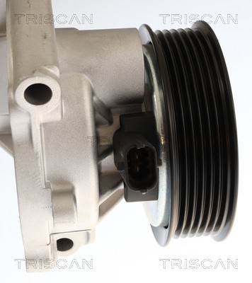 Pompe à eau Triscan A/S 8600 24062