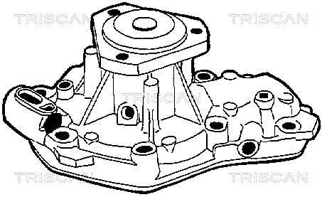 Pompe à eau Triscan A/S ref. 8600 25001