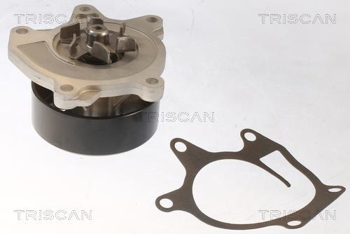 Pompe à eau Triscan A/S 8600 25097