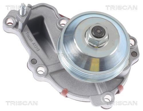 Pompe à eau Triscan A/S ref. 8600 28026