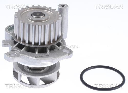 Pompe à eau Triscan A/S ref. 8600 29012