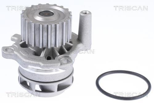 Pompe à eau Triscan A/S ref. 8600 29013