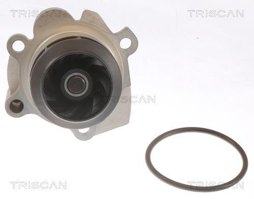 Pompe à eau Triscan A/S ref. 8600 29041