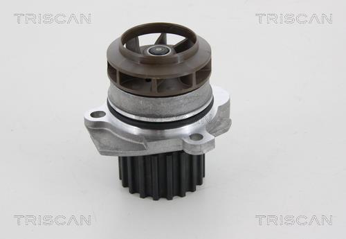 Pompe à eau Triscan A/S ref. 8600 29048
