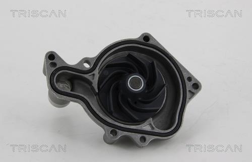 Pompe à eau Triscan A/S 8600 29051