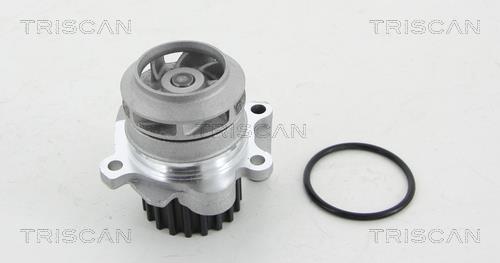Pompe à eau Triscan A/S ref. 8600 29053