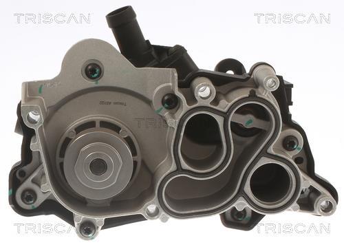 Pompe à eau Triscan A/S ref. 8600 29060H