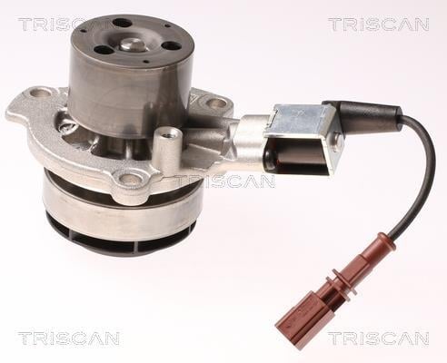 Bomba de agua (Bomba liquido refrigerante) Triscan A/S ref. 8600 29065V