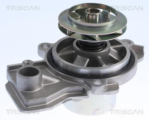 Pompe à eau Triscan A/S ref. 8600 29084