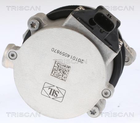 Pompe à eau Triscan A/S ref. 8600 29093