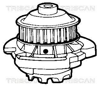 Pompe à eau Triscan A/S ref. 8600 29142
