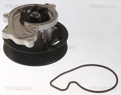 Pompe à eau Triscan A/S 8600 40020