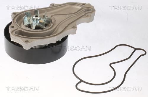 Pompe à eau Triscan A/S ref. 8600 40022