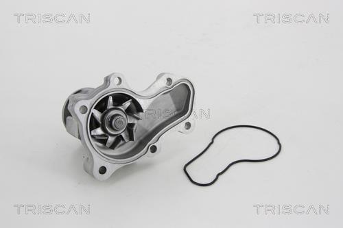 Pompe à eau Triscan A/S 8600 42020
