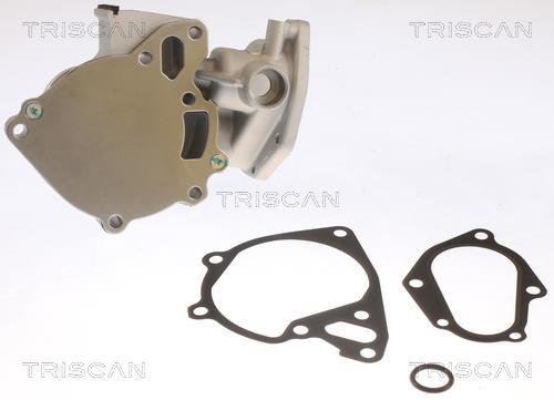 Pompe à eau Triscan A/S ref. 8600 42023