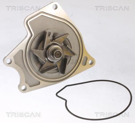 Pompe à eau Triscan A/S 8600 42024