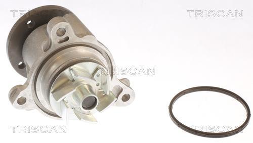 Pompe à eau Triscan A/S 8600 43026