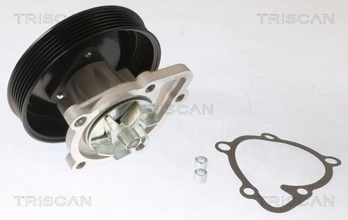 Pompe à eau Triscan A/S ref. 8600 43028