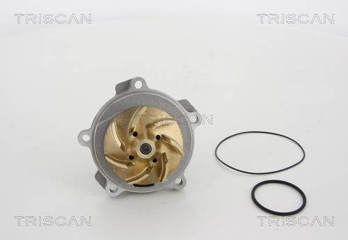 Pompe à eau Triscan A/S ref. 8600 80017