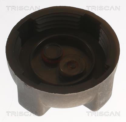 Tapa, radiador Triscan A/S ref. 8610 10