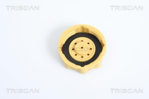Tampão de vedação/proteção Triscan A/S ref. 8610 12