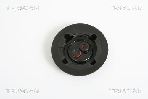 Tampão de vedação/proteção Triscan A/S ref. 8610 15