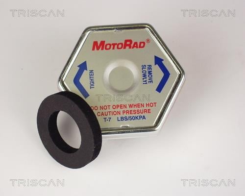 Tampão de vedação/proteção Triscan A/S ref. 8610 1