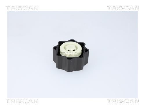 Bouchon, réservoir de liquide de refroidissement Triscan A/S ref. 8610 29
