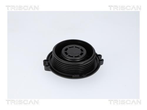 Bouchon, réservoir de liquide de refroidissement Triscan A/S ref. 8610 34
