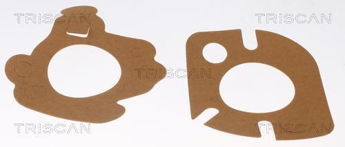 Thermostat d'eau (Calorstat) Triscan A/S 8620 10282