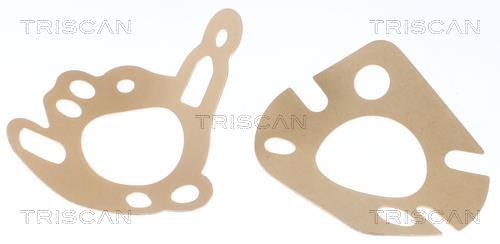 Thermostat d'eau (Calorstat) Triscan A/S 8620 10288