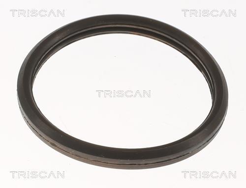 Thermostat d'eau (Calorstat) Triscan A/S 8620 10582