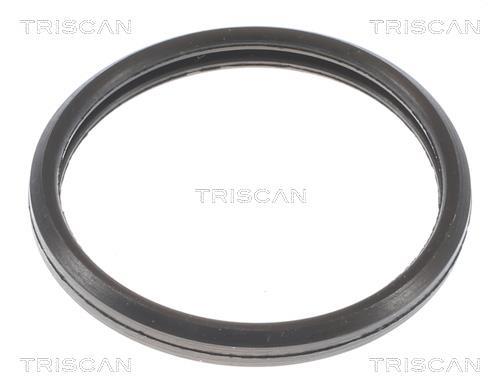 Thermostat d'eau (Calorstat) Triscan A/S 8620 10588