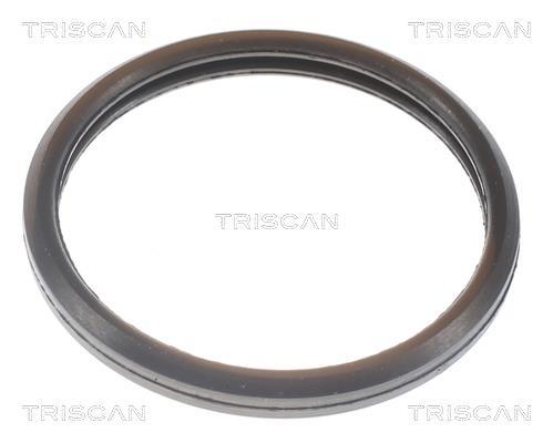 Thermostat d'eau (Calorstat) Triscan A/S 8620 10592