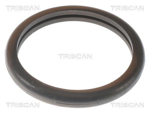 Thermostat d'eau (Calorstat) Triscan A/S 8620 10691