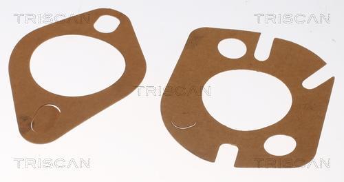 Thermostat d'eau (Calorstat) Triscan A/S 8620 1082
