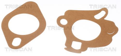 Thermostat d'eau (Calorstat) Triscan A/S 8620 11082
