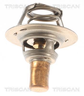 Thermostat d'eau (Calorstat) Triscan A/S 8620 11191