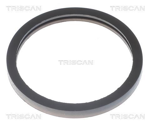 Thermostat d'eau (Calorstat) Triscan A/S 8620 11191