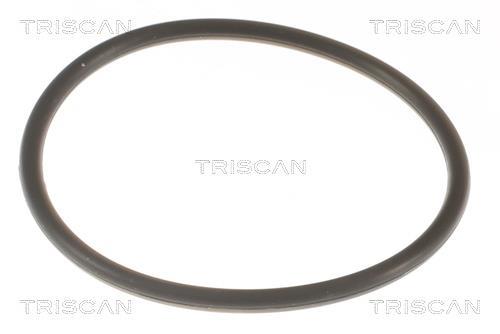 Thermostat d'eau (Calorstat) Triscan A/S 8620 11392