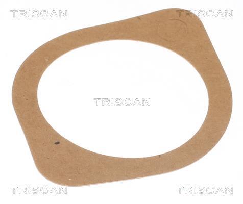 Thermostat d'eau (Calorstat) Triscan A/S ref. 8620 11688