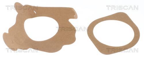 Thermostat d'eau (Calorstat) Triscan A/S 8620 1188