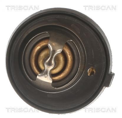 Thermostat d'eau (Calorstat) Triscan A/S 8620 12182