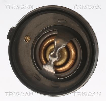 Thermostat d'eau (Calorstat) Triscan A/S 8620 12191