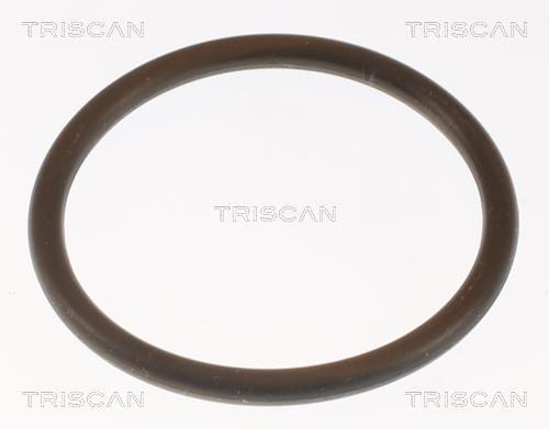 Thermostat d'eau (Calorstat) Triscan A/S ref. 8620 13188